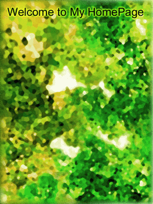 ʶ